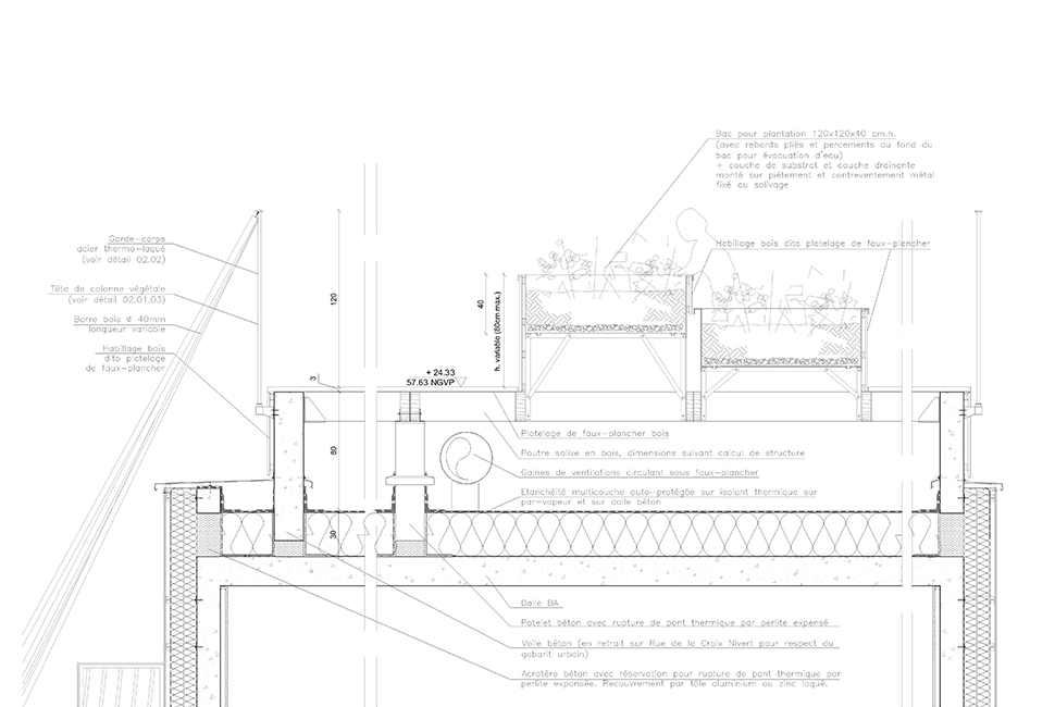 projet  Détail du jardin en toiture