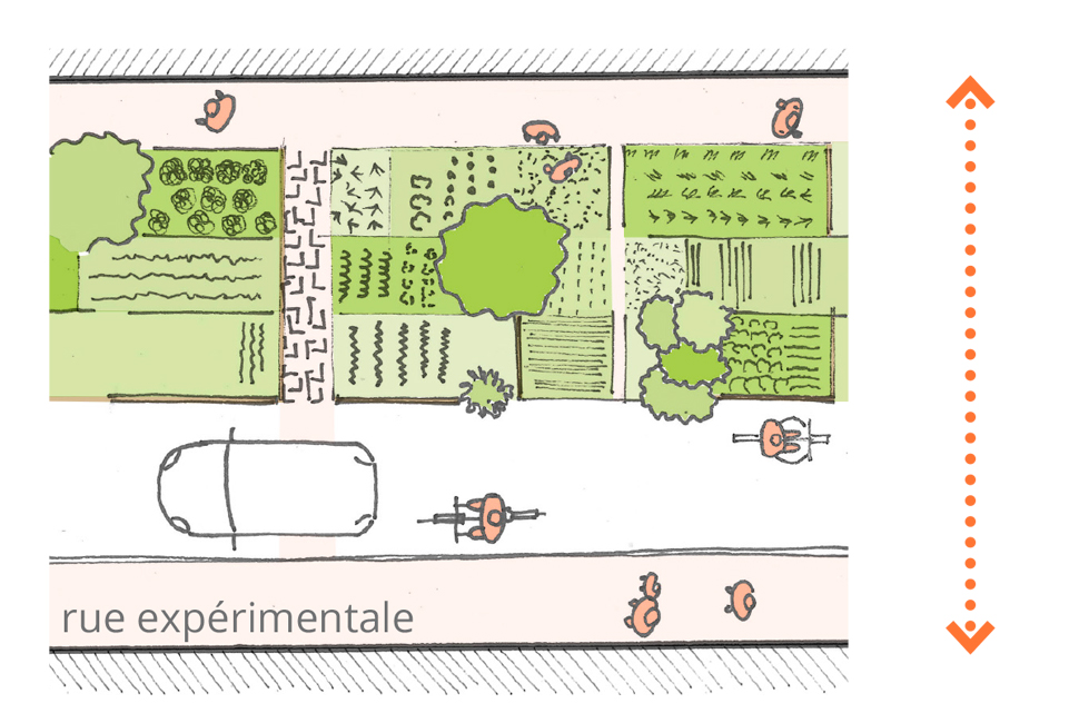 projet  Projet d'une rue débitumée expérimentale