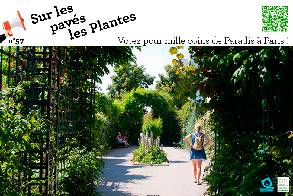 projet  1000 coins de verdure, 1000 coins de Paradis à Paris