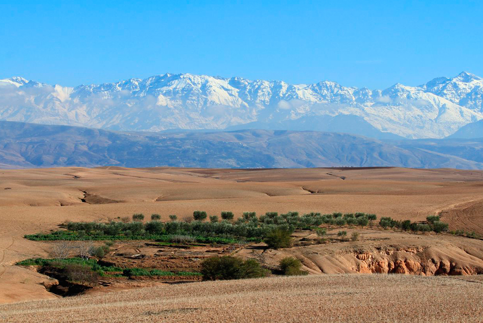 projet  Un oasis dans le désert d'Agafay | photographie : F. Bro 