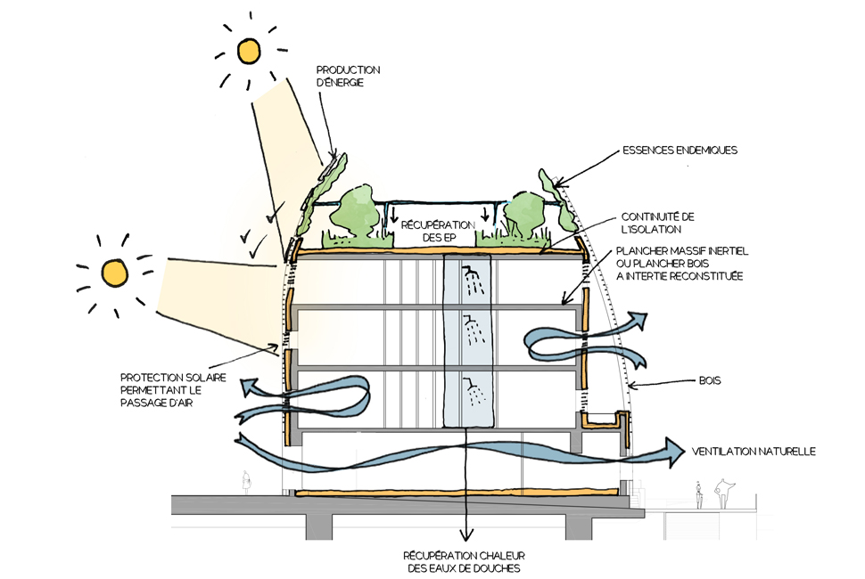 projet  Coupe bioclimatique