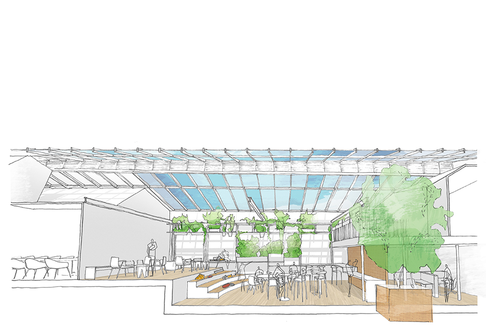 projet  Coupe d'ambiance des espaces sous la verrière