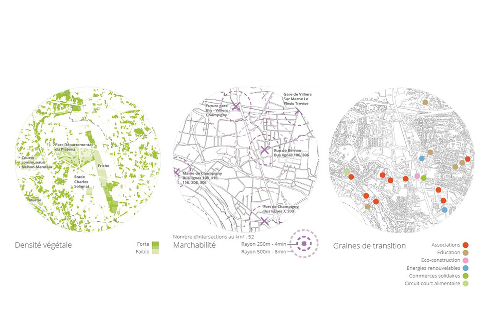 projet  Analyse du site