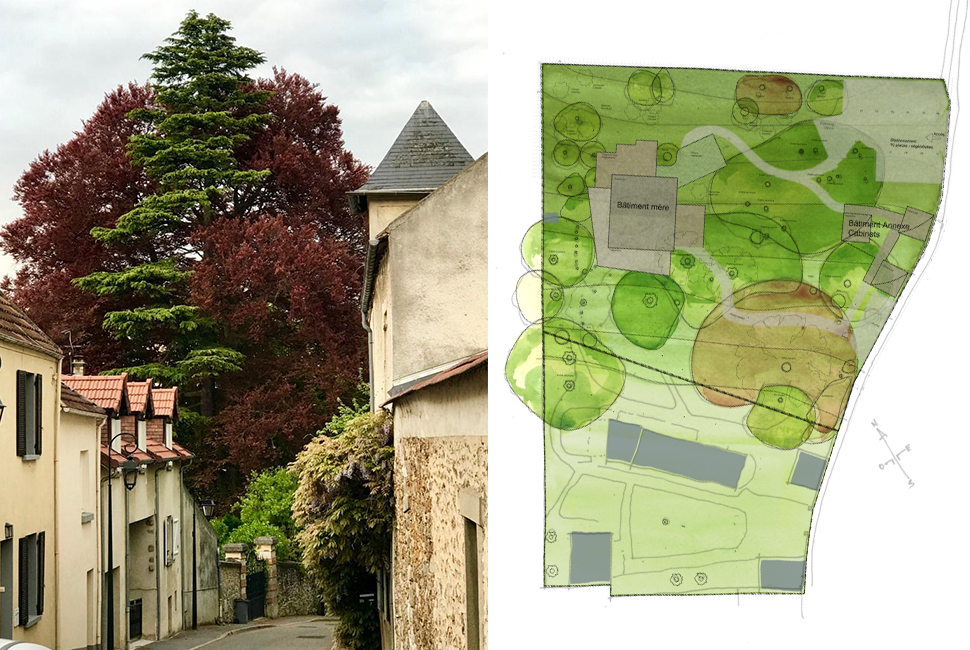 projet  Site existant arboré, plan masse paysagé