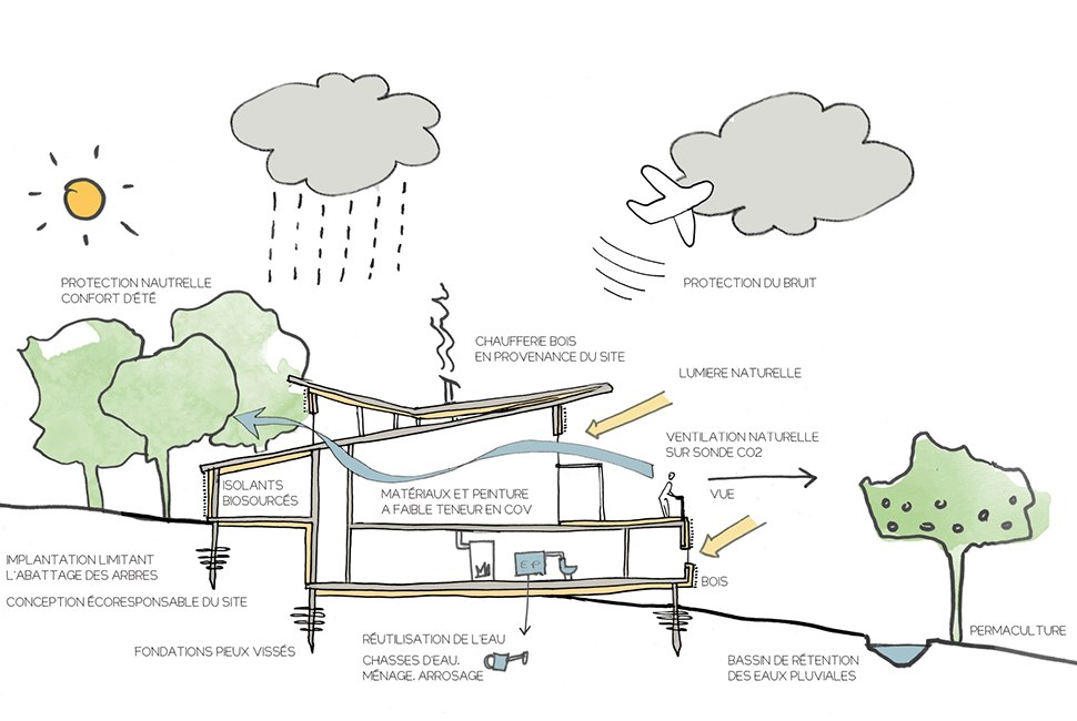 projet  Coupe avec principes bioclimatiques du projet