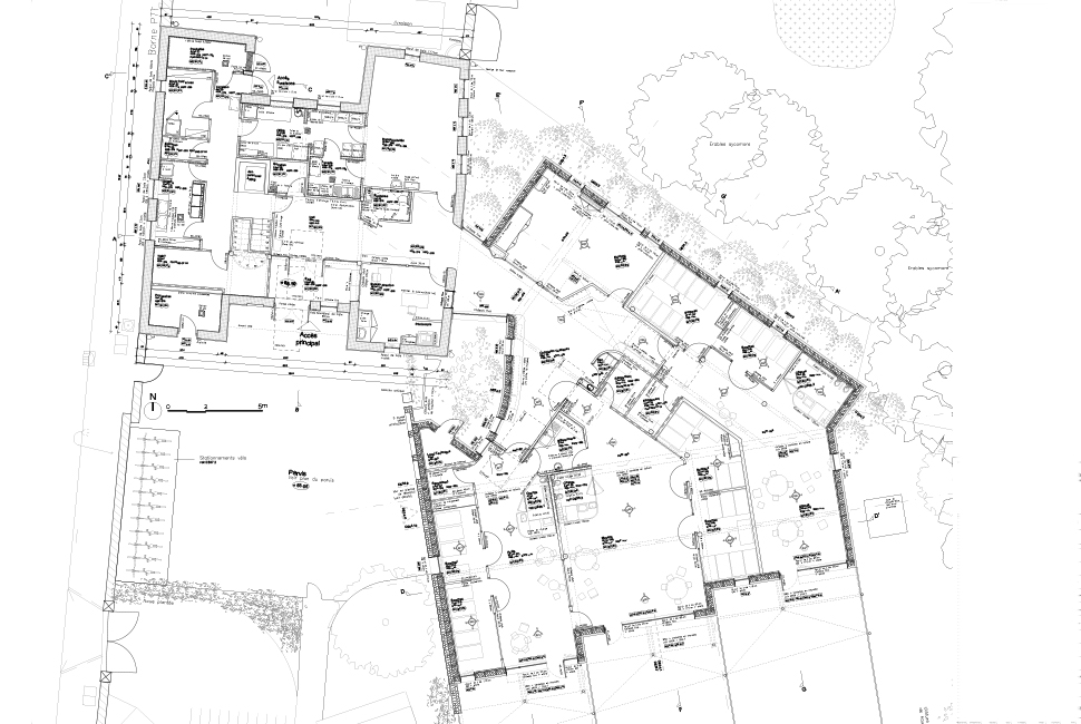 projet  Plan de rez-de-chaussée