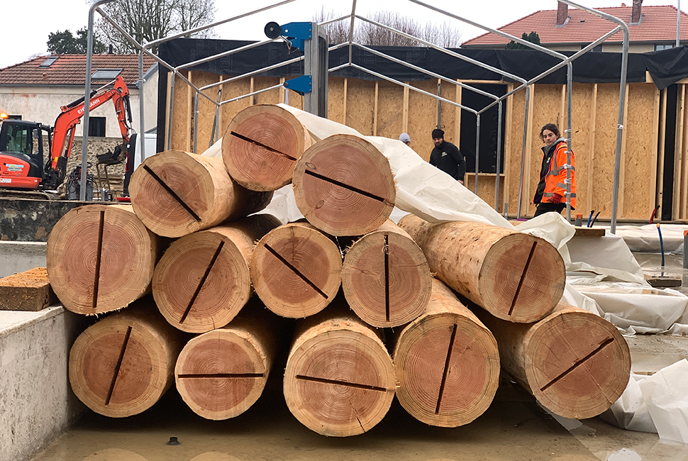 projet  Structure bois peu transformé