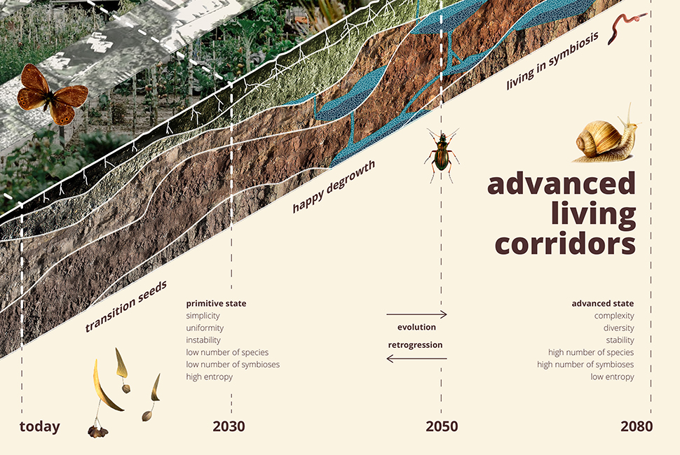 projet  Chronologie du projet