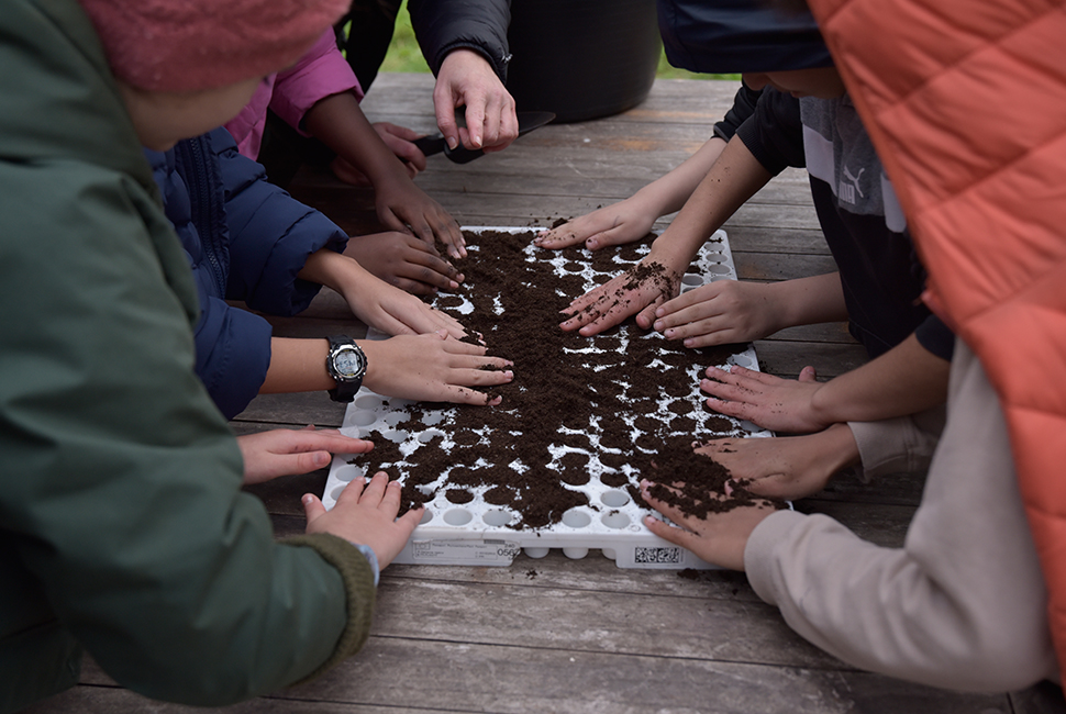 projet  Atelier de semis avec les écoliers